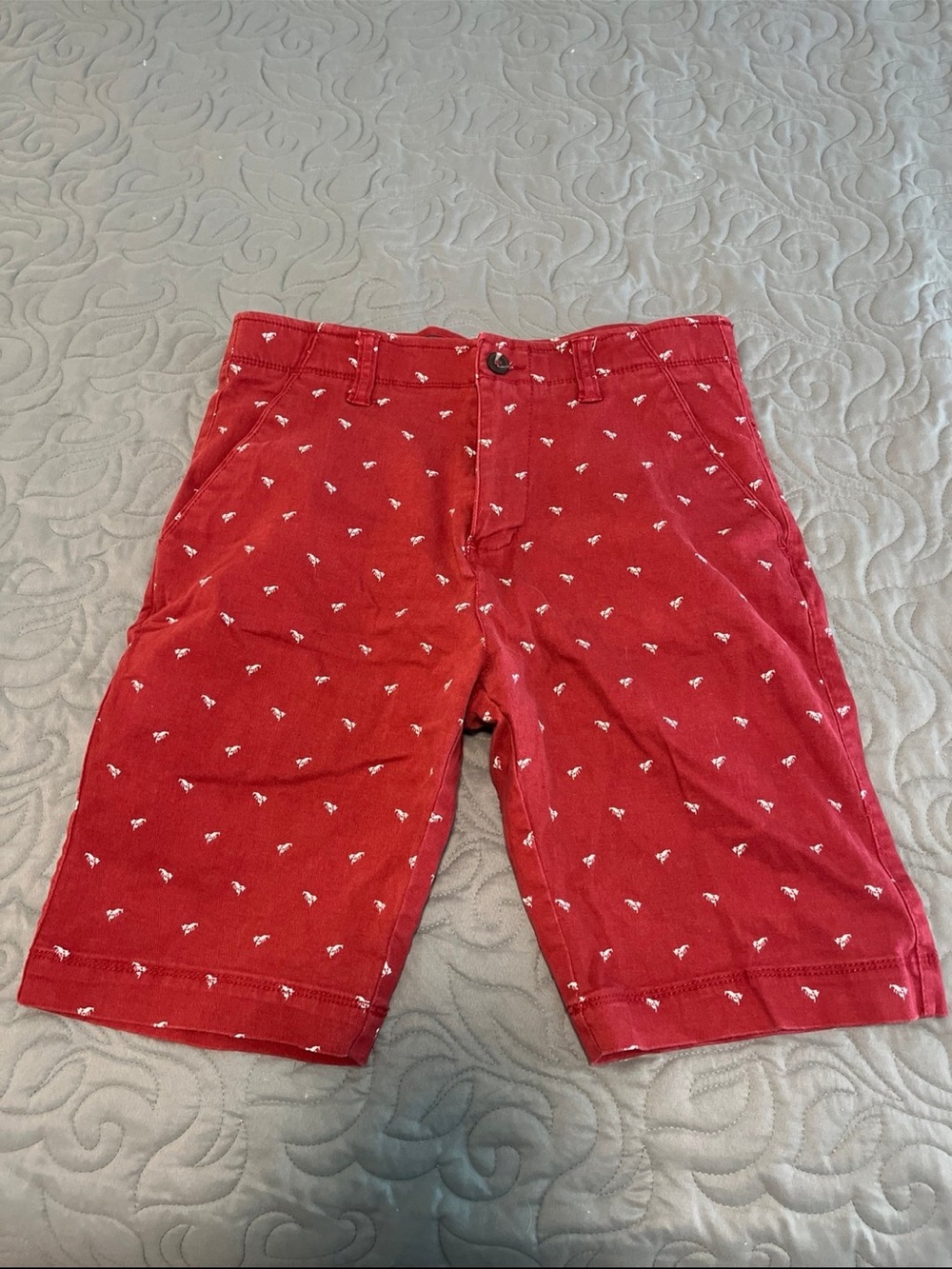 Plugg Red lobster Patterned Flat Front Men's Shorts